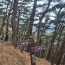 도성암 - 1825 | ⛰️ 비슬산 천왕봉 최단코스 후기도성암 주차장 출발 / 도통바위 경유 빠른 등산 코스