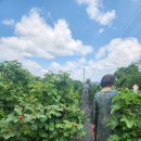 송원한의원 이미지