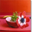 가든플라워 이미지