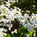 방파제횟집 이미지