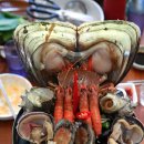 카카오 이미지