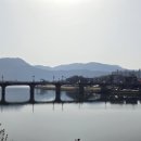 카페백서향 이미지