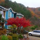 나무뜨락 이미지