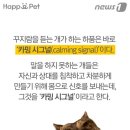 하품