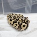 한강유역환경청 화장실 이미지