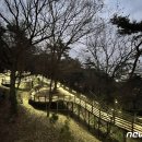 부안군 서림공원 무장애나눔길 뉴스1