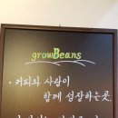 그로우빈스 이미지