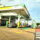 서광로주유소 이미지