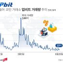 코인나무 이미지