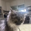 성호세차장 이미지