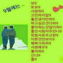 아랫장 이미지