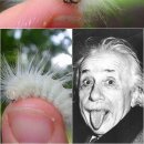 미주리헤어 이미지