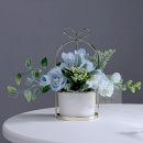 굿데이365 이미지