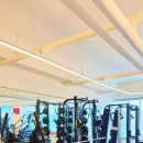 리마인드PT 이미지