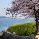 마산식당 네이버블로그