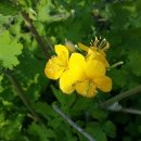 김영칠농장 이미지