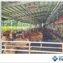 햇살처럼2호 태양광발전소 이미지