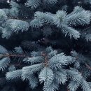 송탄베스트의원 이미지