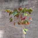 문화재공원2 이미지