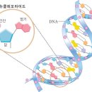 Ⅱ. 과학 기술 발전에 대한 올바른 태도(11월 4일) 이미지