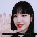 리즈갤러리 이미지