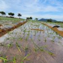 경자농장 이미지