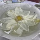 산청도서관 네이버블로그