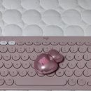 11545-11-00-03 | 네이밍 일본 한정 듀업 하트 립글로스 00호 구매, 발색 후기+구매 가능한 곳까지