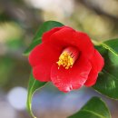 야우농장 이미지