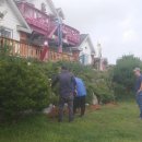 풍차랑 허브랑 이미지