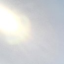 엘리얼티부동산중개 이미지