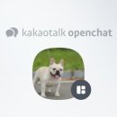 BABISOO 켄넬 이미지