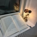 스테이두모 이미지