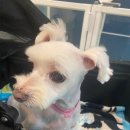 마더스동물병원 이미지