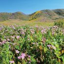 평원목장 이미지