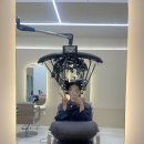 니니 애견 미용실 | 청라 파마 잘하는 1인 미용실 :: 오브미헤어 OF&#39;MI HAIR