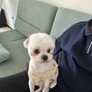 동네개발소 네이버블로그