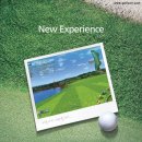 씽씽골프존 이미지