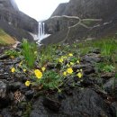 송파구노인회관 이미지