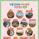 낙동강자전거길7 이미지