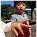 미원초교 금관분교 이미지