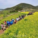 완도 청산도 슬로걷기 축제 이미지