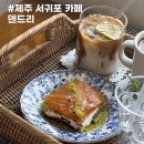 제주 서귀포 애견동반 카페 덴드리 감귤 체험까지