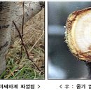 동해기술 이미지