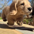 제이프렌드 | 왜 벌써 3월이야..?