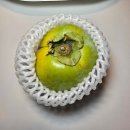 태주농장 | 당도가 높아 달달한 가을 제철 과일 태추단감