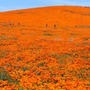 공원슈퍼 이미지