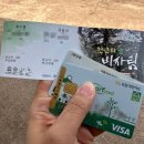 제주시농협동부주유소 | 제주여행 제주살이 준비 지역화폐 탐나는전 &amp; 그린카드