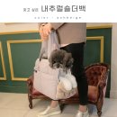 바니모바일 네이버블로그