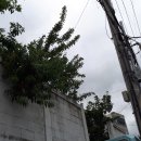 평리6동주민센터 이미지